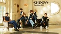 Dazzling Girl-2