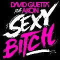 David Guetta feat. Akon